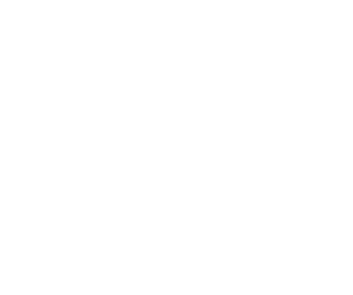 Logo AVA