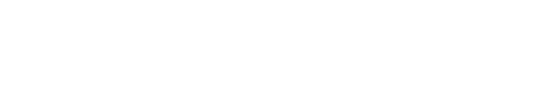 Logo Agunsa