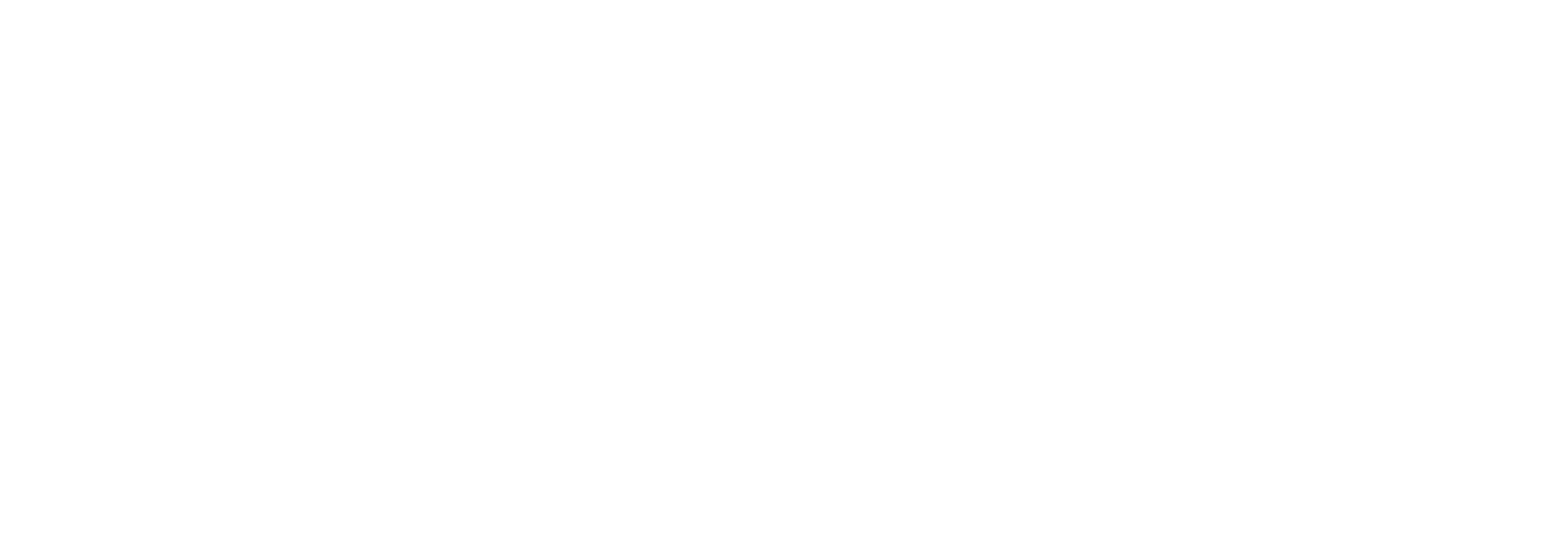 Logo Carozzi