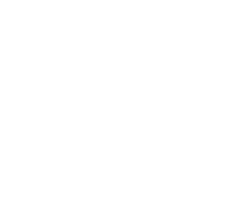 Logo EFE