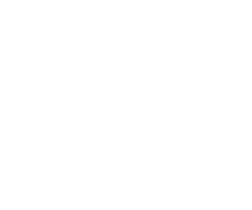 Logo Essbio