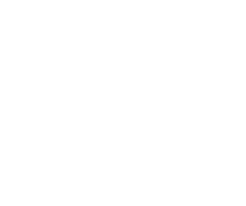 Logo Promet