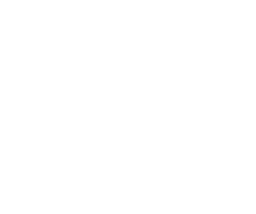 Logo STI
