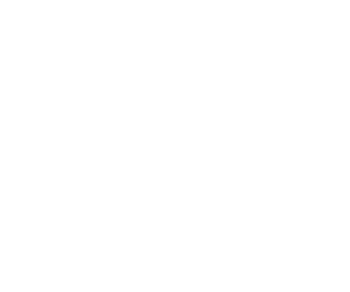 Logo Transvip