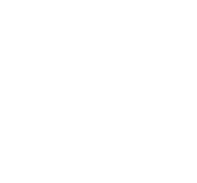 Logo Valparaíso Sporting Club