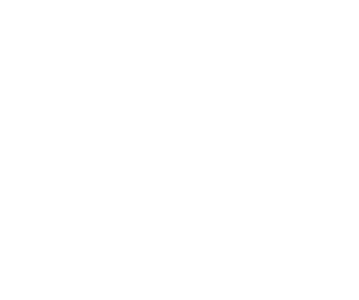 Logo Vivocorp