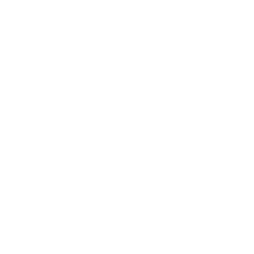 Logo Report
