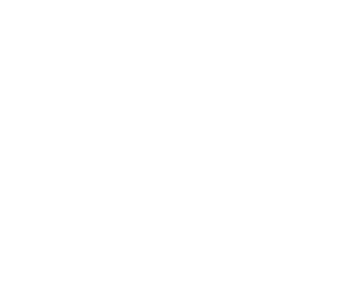 Logo Universidad de Viña del Mar